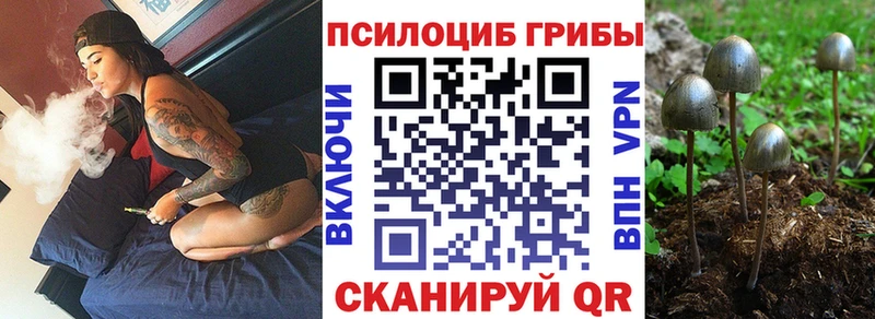 Псилоцибиновые грибы Magic Shrooms  Гусиноозёрск 