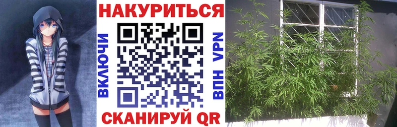 Бошки Шишки Ganja  Гусиноозёрск 